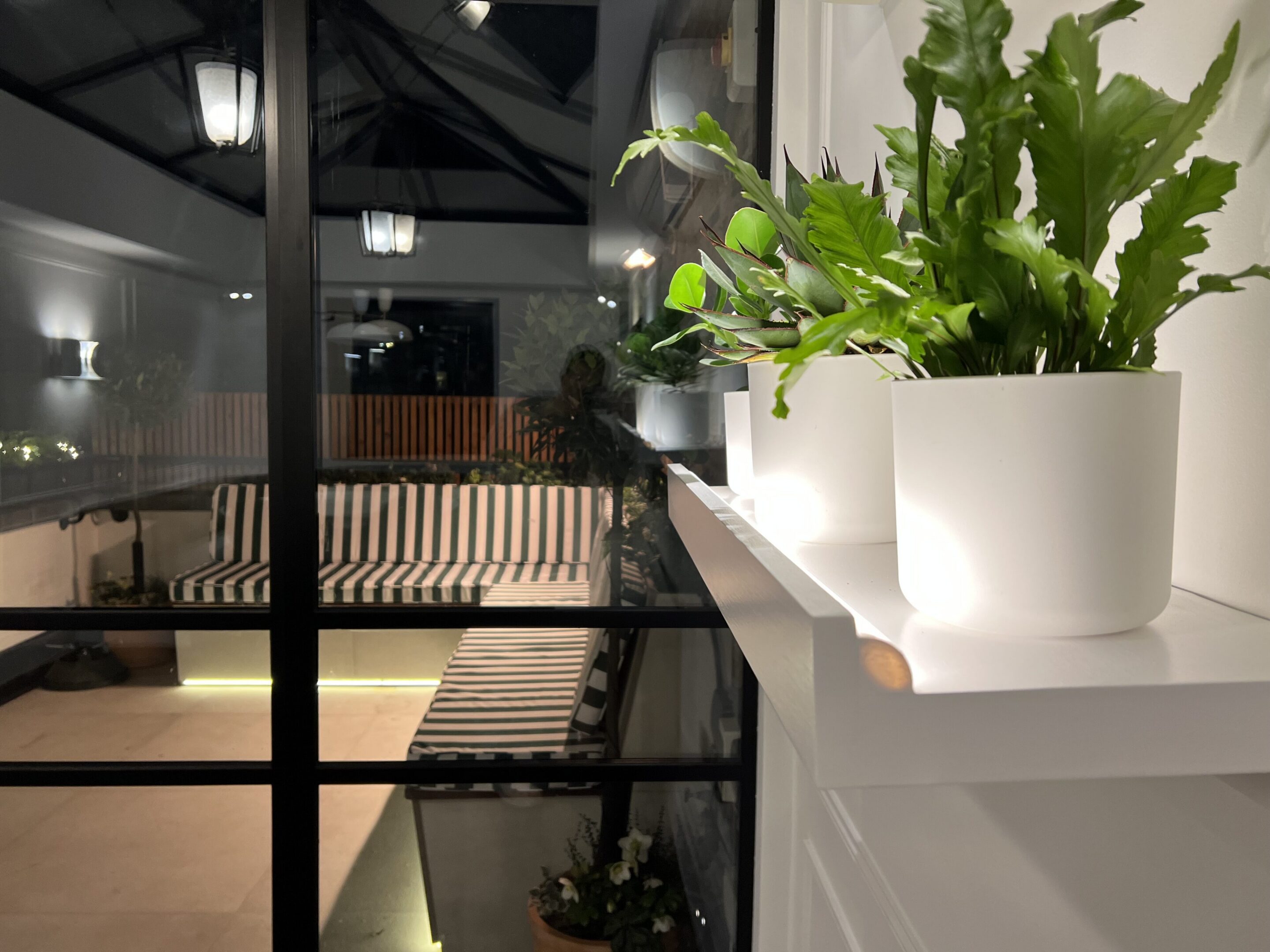 Indoor plant on shelf near glass door