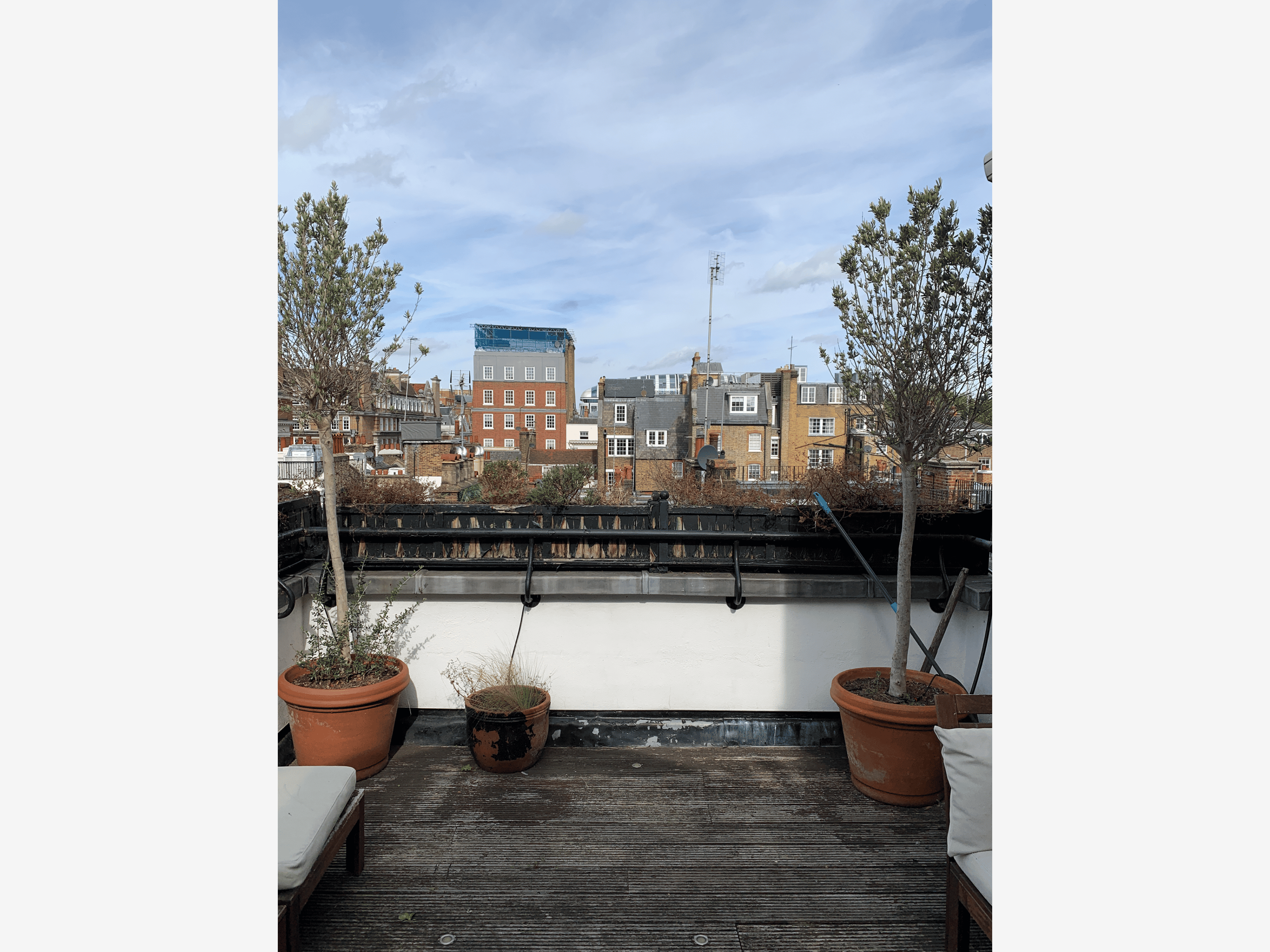 Rooftop terrace with potted trees and skyline