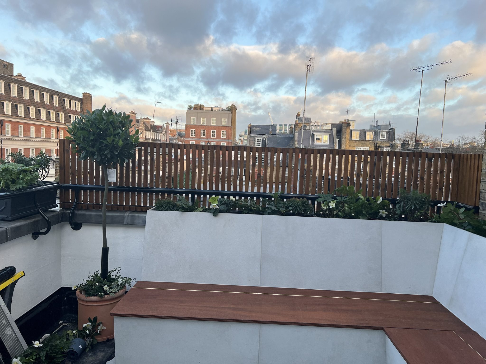 Rooftop terrace with bench and potted tree