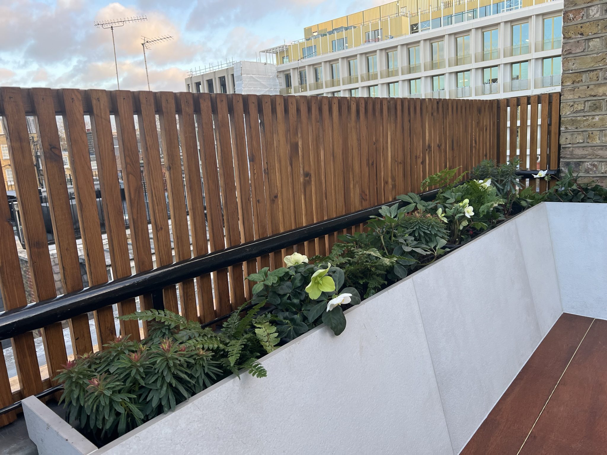 Balcony planter with green plants and white flowers