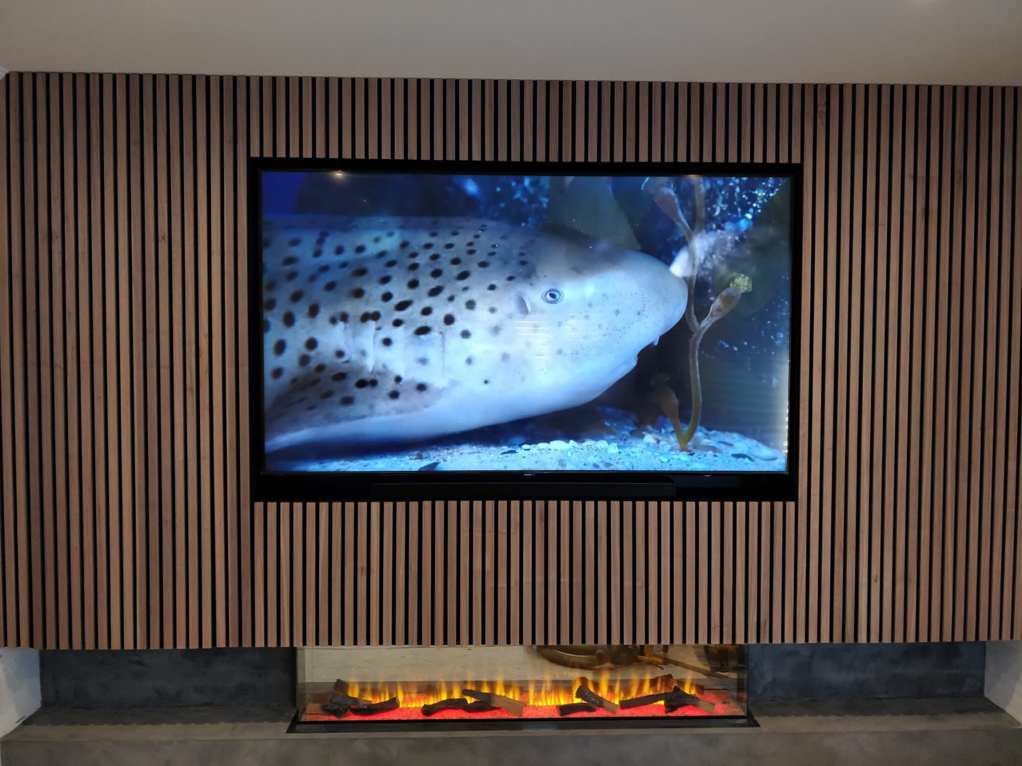 TV displaying spotted shark above electric fireplace